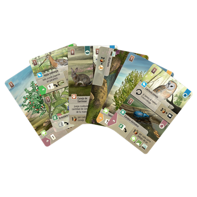 JUEGO DE MESA FOREST SHUFFLE DARTMOOR