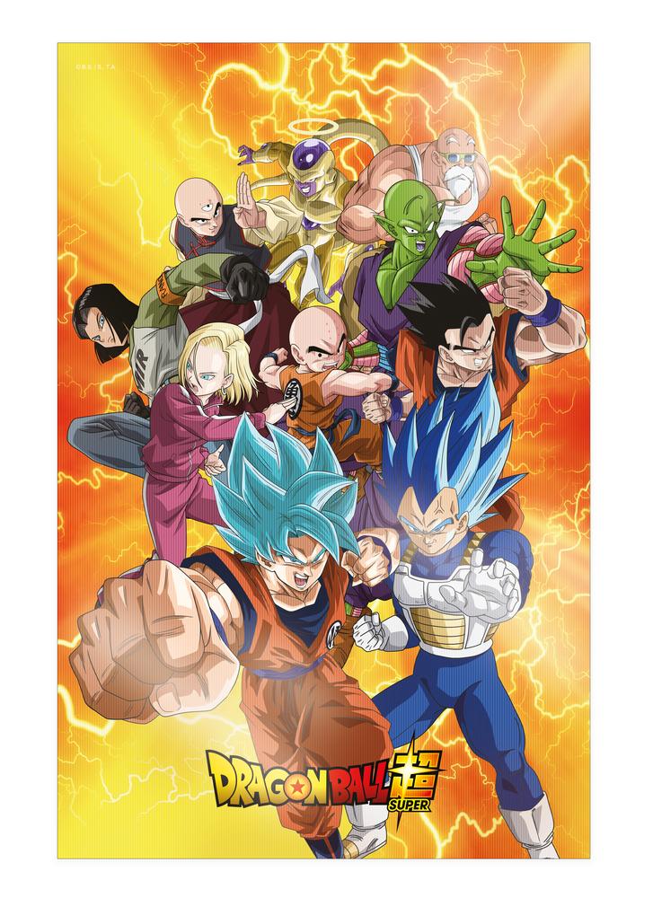 POSTER 3D 58X38CM UNIVERSAL SURVIVAL HEROES DRAGON BALL SUPER