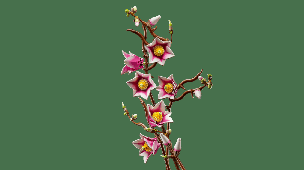 LEGO BOTANICALS RAMAS DE MAGNOLIA