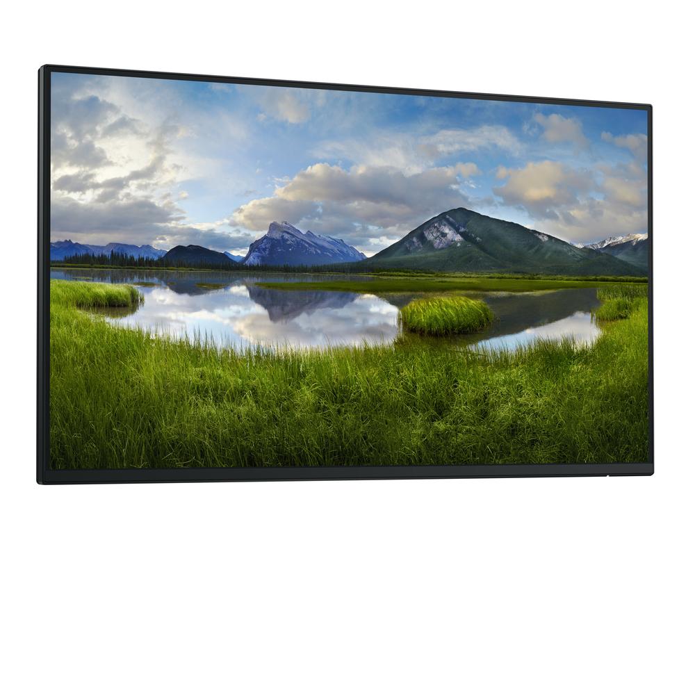 MONITOR DELL 24" P2425HE FHD 100HZ