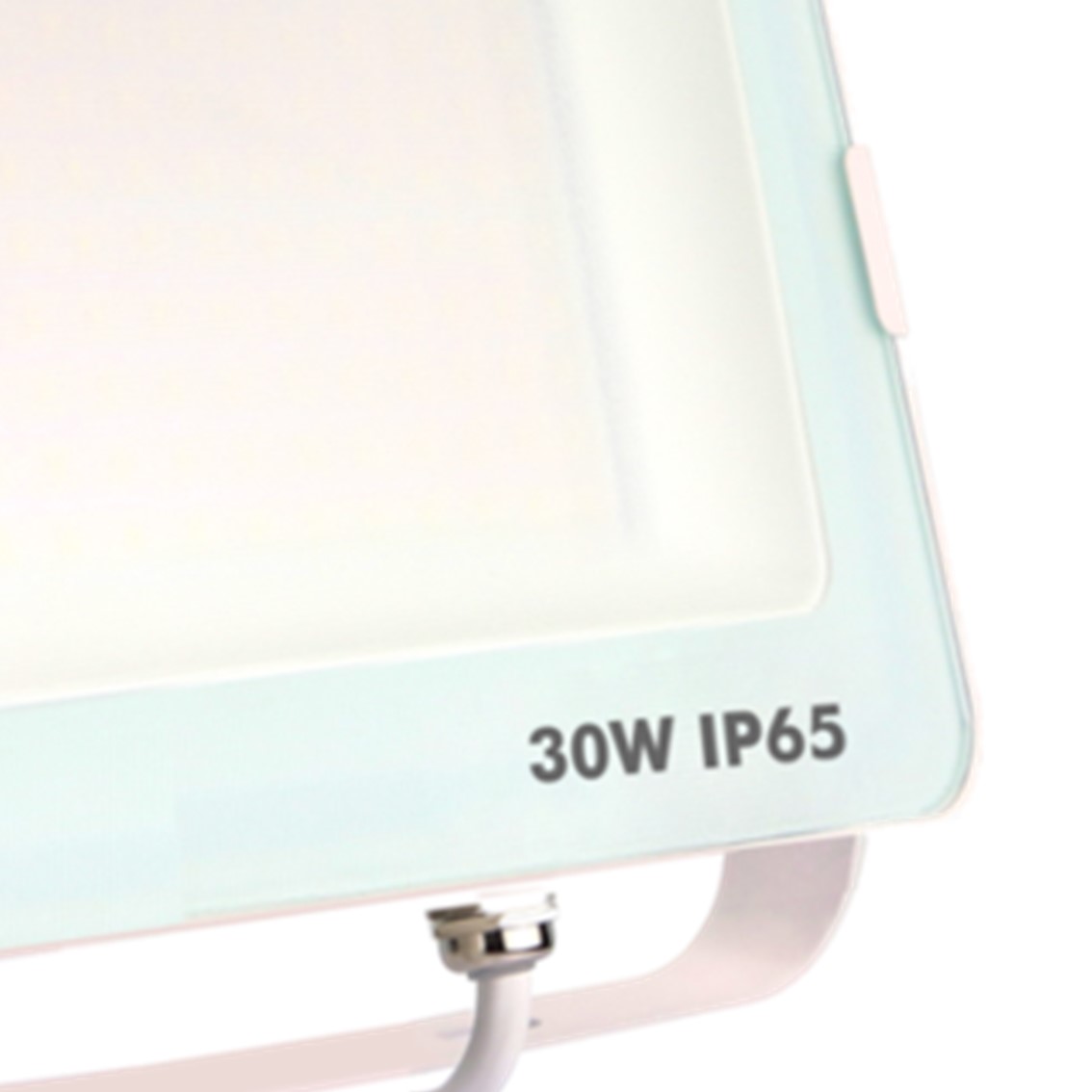 FOCO PROYECTOR IP65 30W 5700K 2.400lm BLANCO