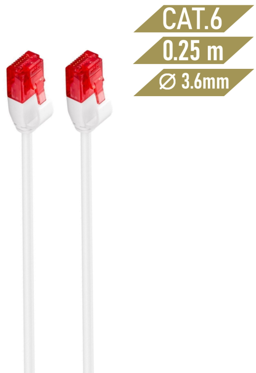 Ewent IM1035 cable de red Blanco 0,25 m Cat6 U/UTP (UTP)