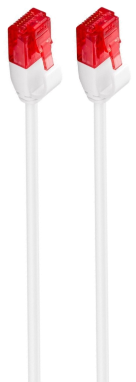 Ewent IM1036 cable de red Blanco 0,5 m Cat6 U/UTP (UTP)