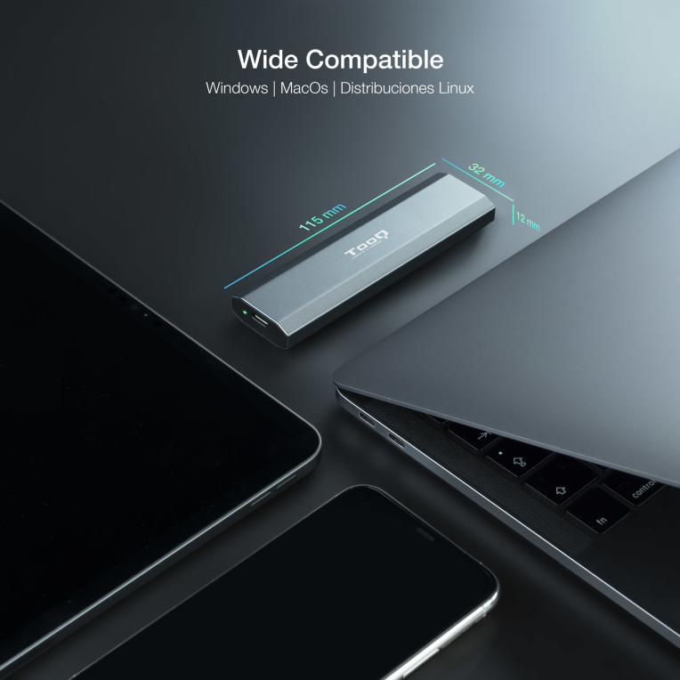 TooQ Shura Caja externa para unidad de estado sólido (SSD) Gris M.2