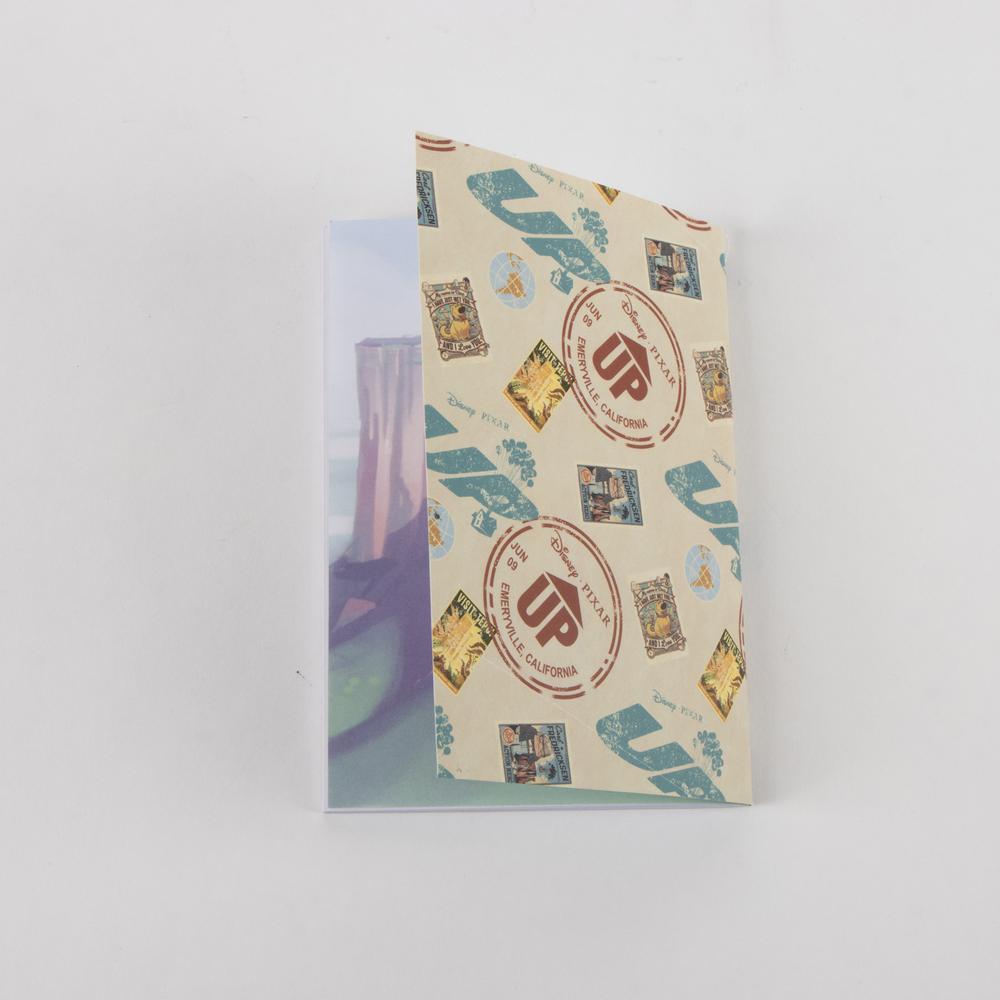 SET REGALO COLECCIONISTA PIXAR UP