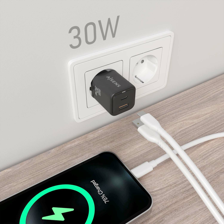 AISENS ASCH-30W2P021-BK cargador de dispositivo móvil Universal Corriente alterna Carga rápida Interior