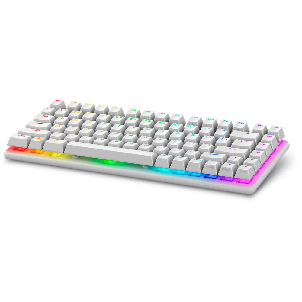 TECLADO GAMING DELL ALIENWARE PRO INALAMBRICO LUZ LUNAR US