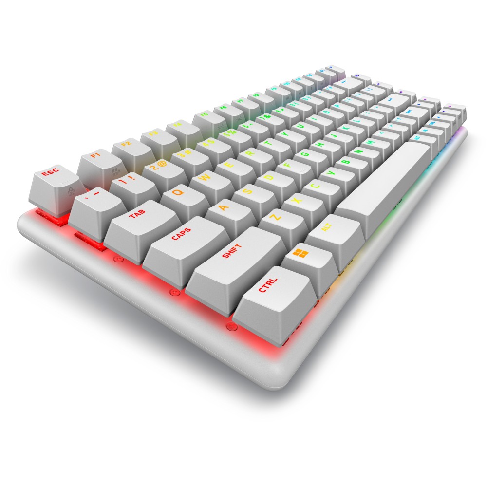 TECLADO GAMING DELL ALIENWARE PRO INALAMBRICO LUZ LUNAR US