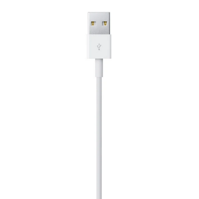 ADAPTADOR APPLE LIGHTNING MACHO A USB MACHO 2M