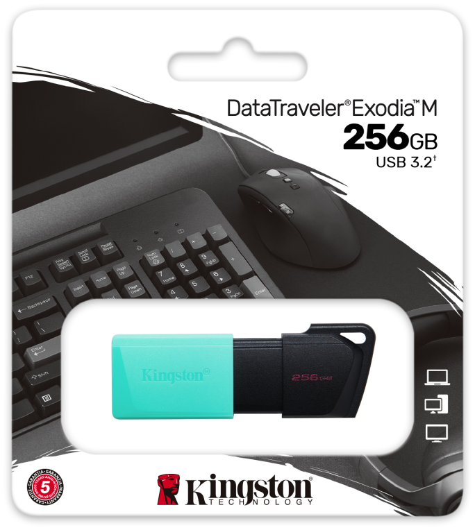 Kingston Technology DataTraveler 256GB USB3.2 Gen1 Exodia M (Negro + Turquesa)
