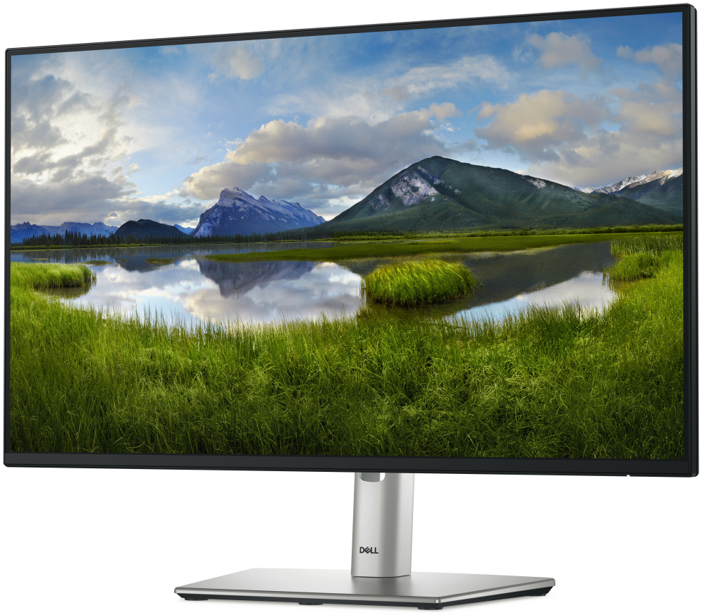 DELL Pro Plus P2425HE pantalla para PC 60,5 cm (23.8") 1920 x 1080 Pixeles Full HD LCD Negro