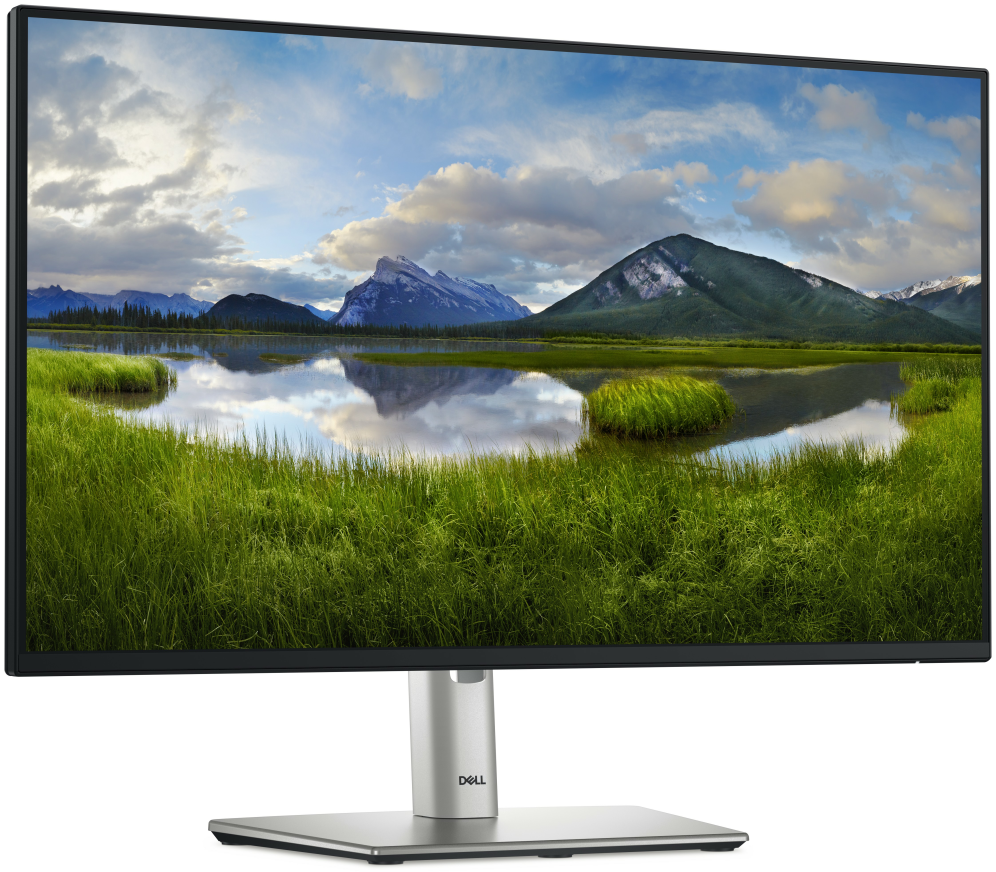 DELL Pro Plus P2425HE pantalla para PC 60,5 cm (23.8") 1920 x 1080 Pixeles Full HD LCD Negro