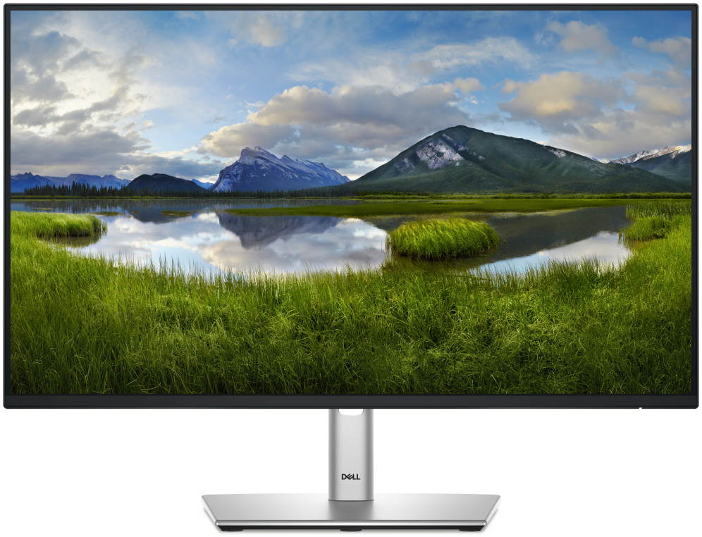DELL Pro Plus P2425HE pantalla para PC 60,5 cm (23.8") 1920 x 1080 Pixeles Full HD LCD Negro
