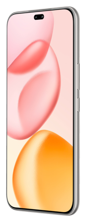 Honor 400 Pro 17 cm (6.7") MagicOS 9.0 5G 12 GB 512 GB 5300 mAh Gris