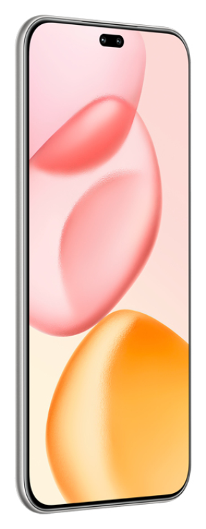 Honor 400 Pro 17 cm (6.7") MagicOS 9.0 5G 12 GB 512 GB 5300 mAh Gris