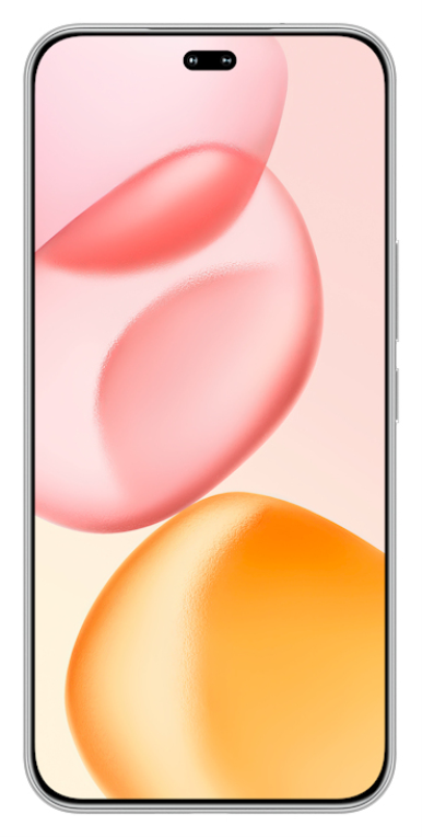 Honor 400 Pro 17 cm (6.7") MagicOS 9.0 5G 12 GB 512 GB 5300 mAh Gris