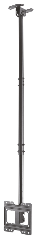 AISENS Soporte de techo giratorio, inclinable, extensible para monitor/TV 50kg de 23”-43”, Negro