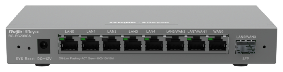 Ruijie Networks RG-EG209GS router Gigabit Ethernet Gris