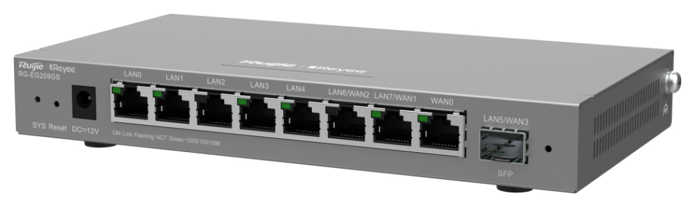Ruijie Networks RG-EG209GS router Gigabit Ethernet Gris